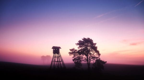 Hunting with a Night Vision Device: Your Questions, Answered