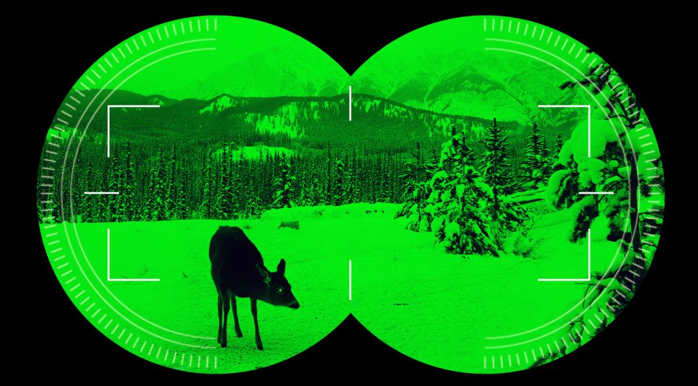 How to Choose the Right Thermal Vision Device, Steele Industries Inc